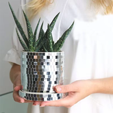 Disco Party Flower Pot